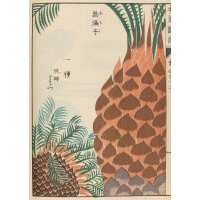 Read King & McGaw Reviews