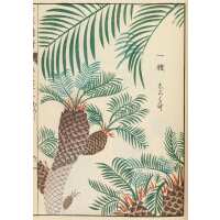 Read King & McGaw Reviews