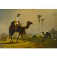 Read King & McGaw Reviews