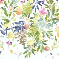 Read King & McGaw Reviews