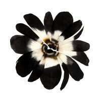 Read King & McGaw Reviews