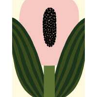 Read King & McGaw Reviews