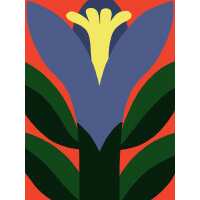 Read King & McGaw Reviews