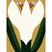 Read King & McGaw Reviews