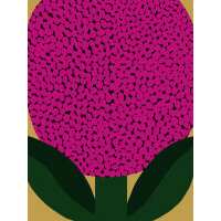 Read King & McGaw Reviews