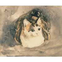 Read King & McGaw Reviews