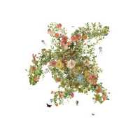 Read King & McGaw Reviews