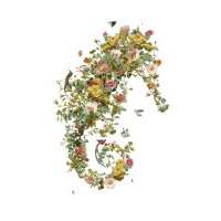 Read King & McGaw Reviews