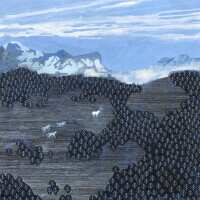 Read King & McGaw Reviews