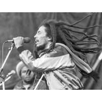 Read King & McGaw Reviews