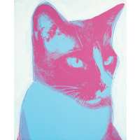 Read King & McGaw Reviews