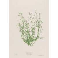 Read King & McGaw Reviews