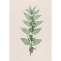 Read King & McGaw Reviews