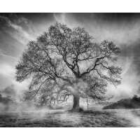 Read King & McGaw Reviews