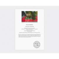 Read King & McGaw Reviews