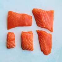 Read The Fish Society Reviews