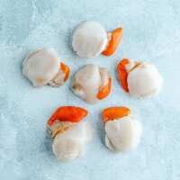 Read The Fish Society Reviews