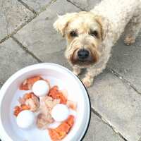 Read The Fish Society Reviews