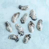 Read The Fish Society Reviews