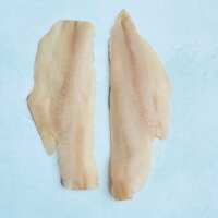 Read The Fish Society Reviews