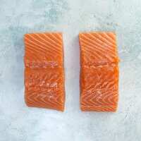 Read The Fish Society Reviews