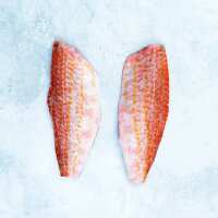 Read The Fish Society Reviews