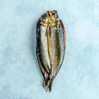 Read The Fish Society Reviews