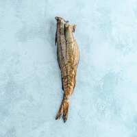 Read The Fish Society Reviews