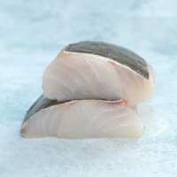Read The Fish Society Reviews