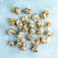 Read The Fish Society Reviews