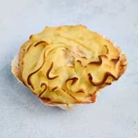 Read The Fish Society Reviews