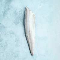 Read The Fish Society Reviews