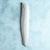 Read The Fish Society Reviews