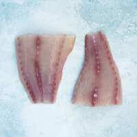 Read The Fish Society Reviews