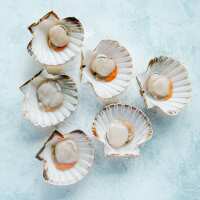 Read The Fish Society Reviews