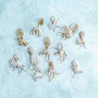 Read The Fish Society Reviews
