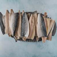 Read The Fish Society Reviews