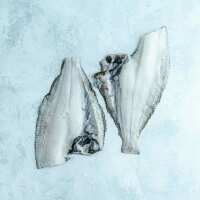 Read The Fish Society Reviews