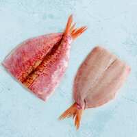 Read The Fish Society Reviews