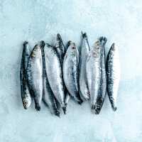 Read The Fish Society Reviews