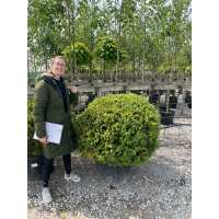 Read Grasslands Nursery Reviews
