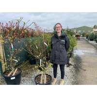 Read Grasslands Nursery Reviews
