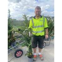 Read Grasslands Nursery Reviews