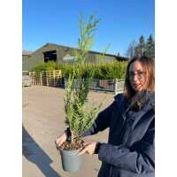 Read Grasslands Nursery Reviews