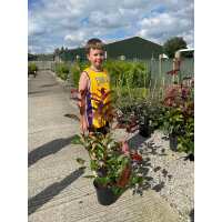 Read Grasslands Nursery Reviews