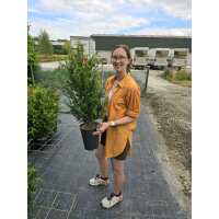 Read Grasslands Nursery Reviews