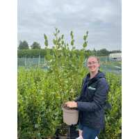 Read Grasslands Nursery Reviews