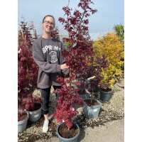 Read Grasslands Nursery Reviews