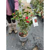 Read Grasslands Nursery Reviews