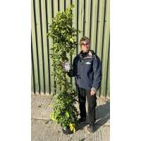 Read Grasslands Nursery Reviews
